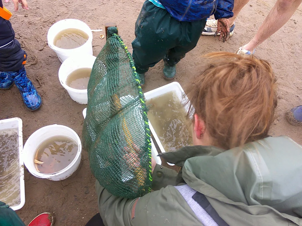 Sea Dipping at Gibraltar Point National Nature Reserve