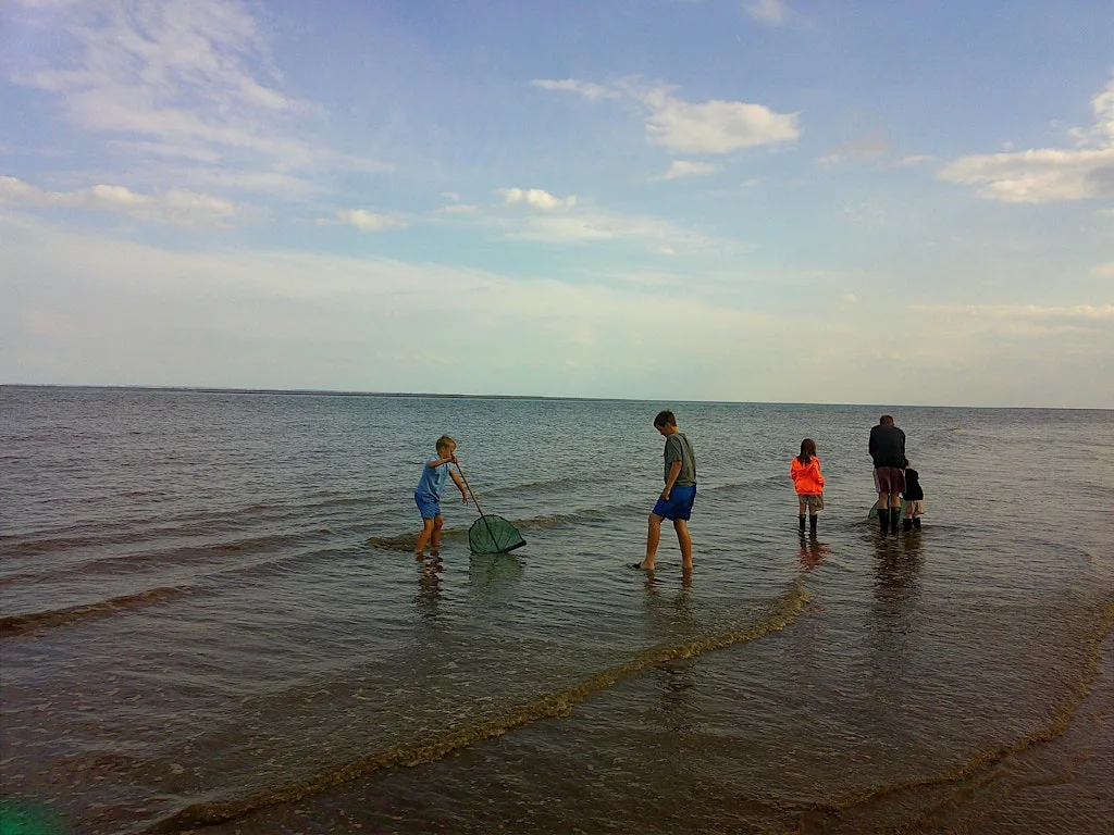 Sea Dipping at Gibraltar Point National Nature Reserve
