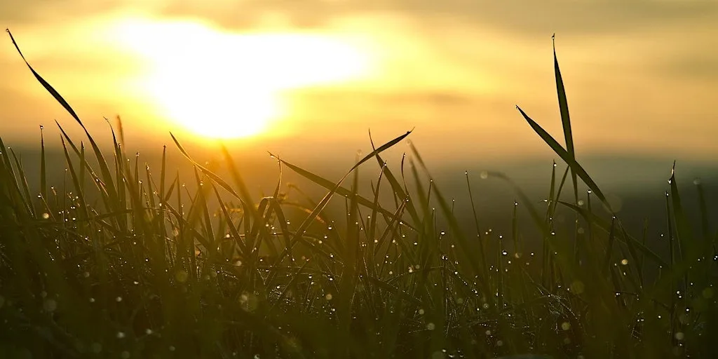 New Beginnings at The Living Well