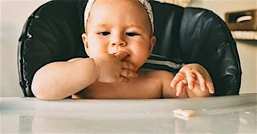 Let's Get Weaning in September at The Baby Room Exeter CIC