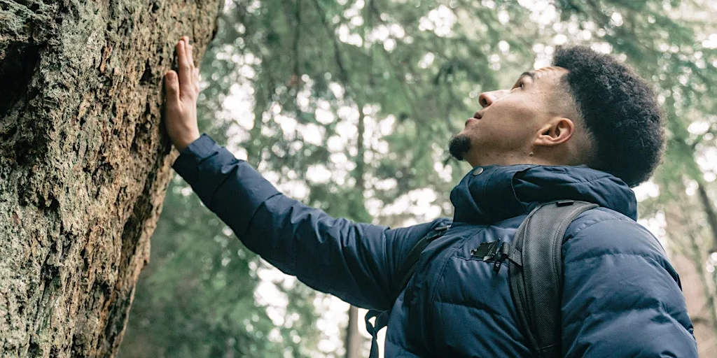 Unwind in the Woods: forest bathing at Salcey