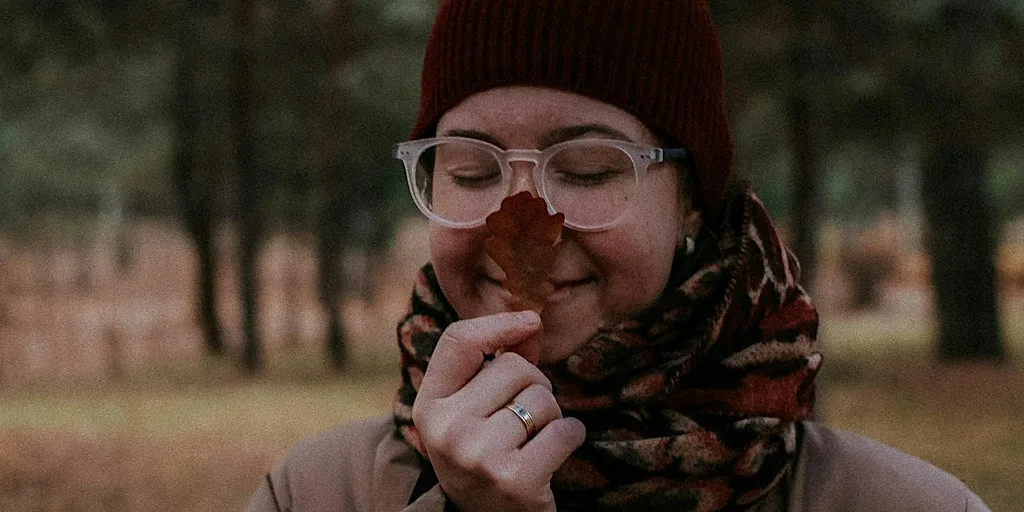 Unwind in the Woods: forest bathing at Salcey at Salcey Forest