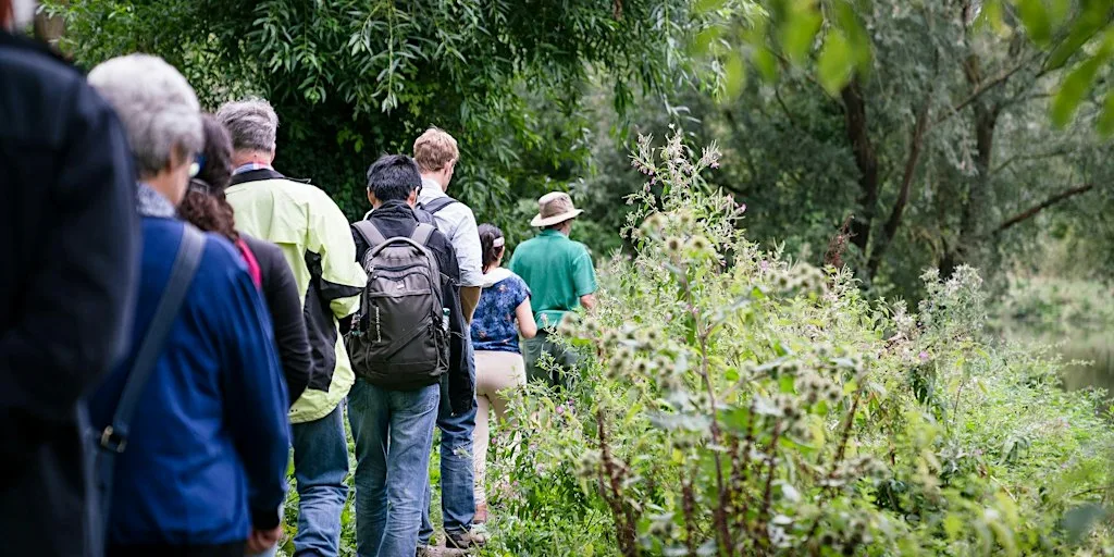 Monthly Meander - Autumn Wildlife