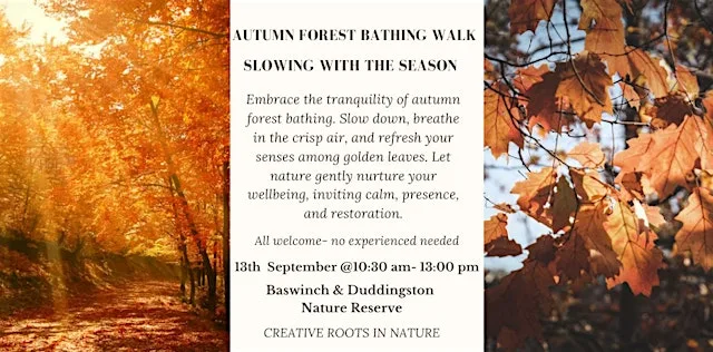 Autumn Forest Bathing Walk-Slowing with the Season at Midmar Drive
