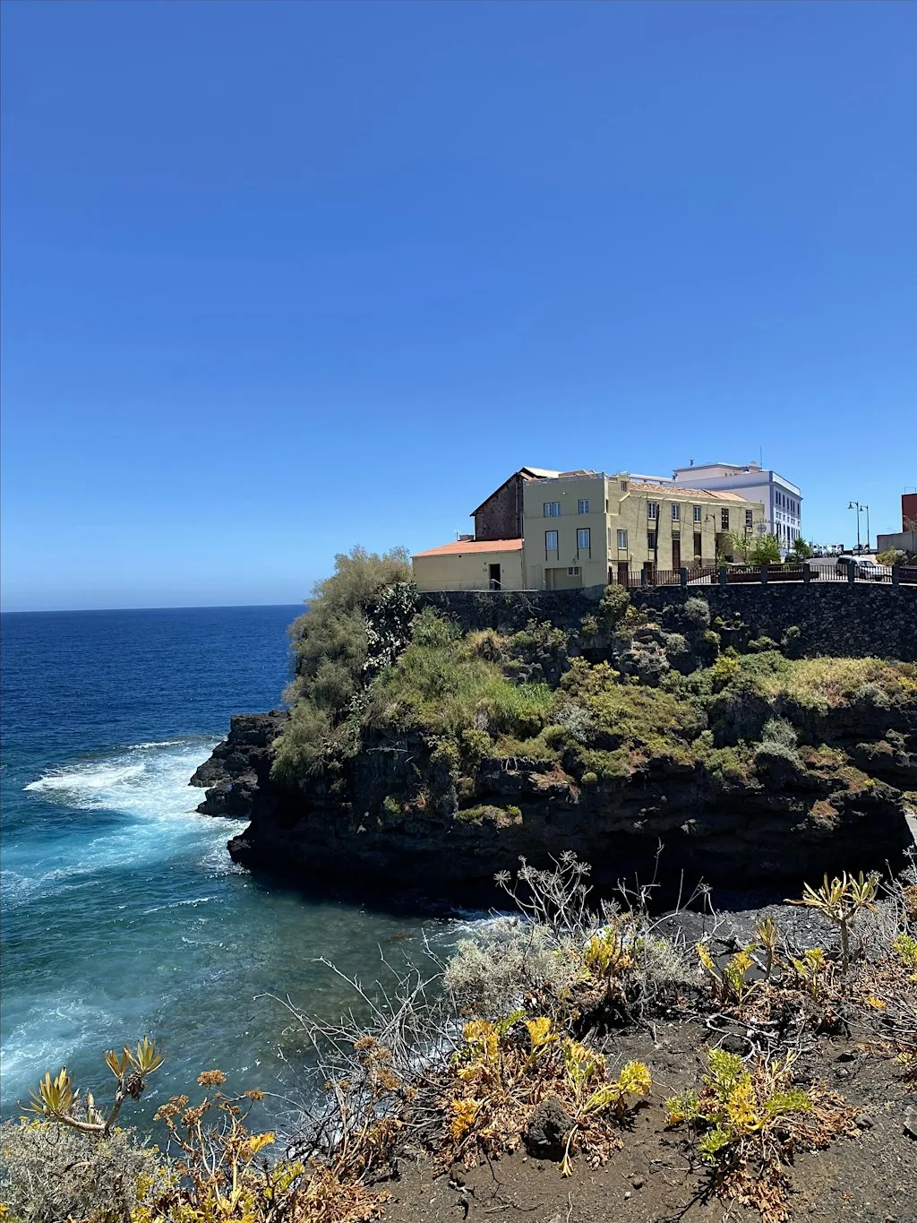 La Palma Artisanal Rum Tasting. Destilaría Aldea (Winter Edition)