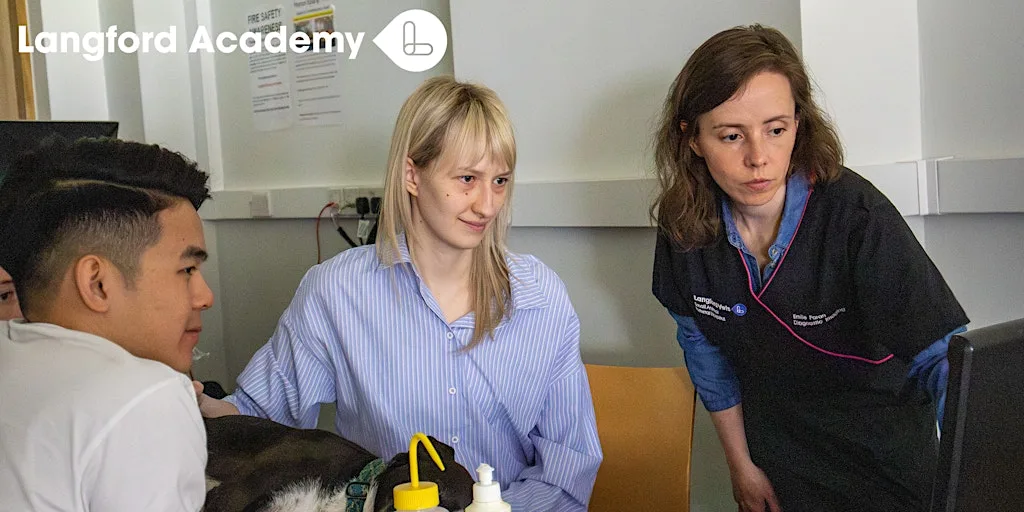 Recent Graduate Scheme Practical Day at Langford Vets Small Animal Referral Hospital