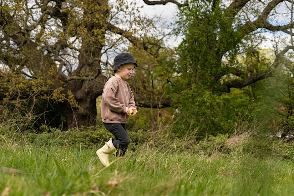 WILDFAMILIES Woodland Adventures at The Wolseley Centre at The Wolseley Centre
