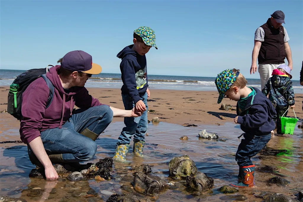 Rockpool rummaging (Marine Day Family Event) West Runton at West Runton Beach