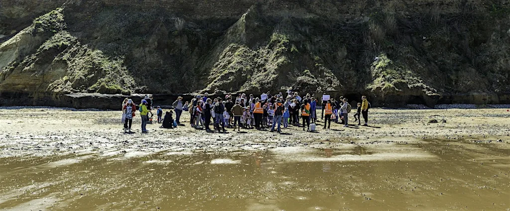 Fascinating fossils (Family Event 11 August) West Runton