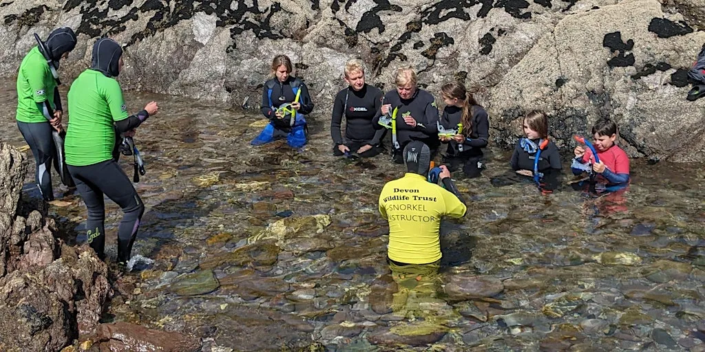 Snorkel Safari at Wembury Marine Centre