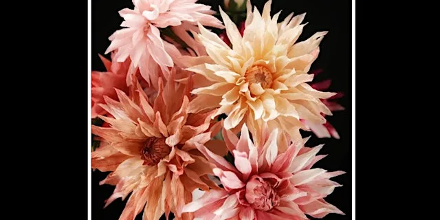 Paper Flowers Floristry Workshop - Dahlia at Branklyn Garden
