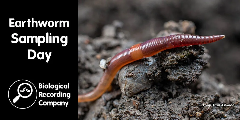 Earthworm Sampling Day