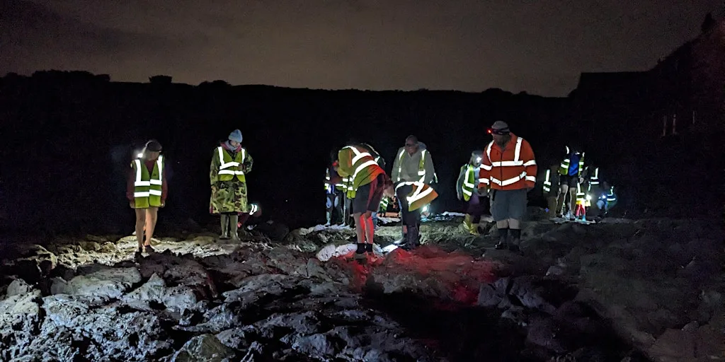 Night-Time Rockpool Safari at Wembury Marine Centre