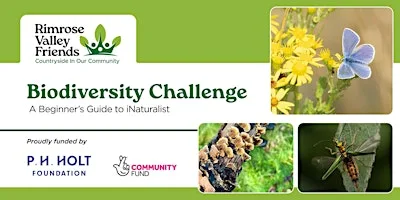 Community Wildlife Recording - Conservation Special! at Rimrose Valley Country Park