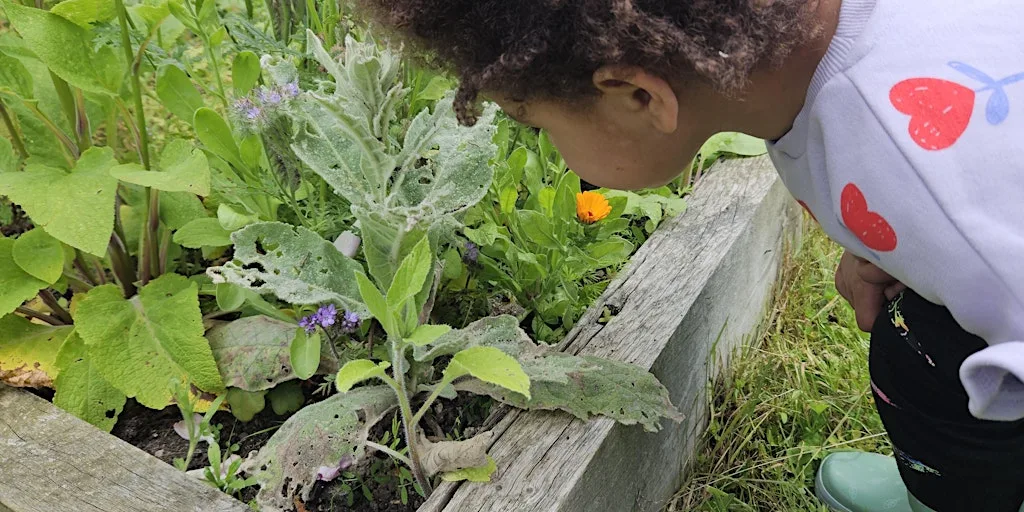 Far Ings Family Fun: Powerful Plants at Far Ings Visitor Centre