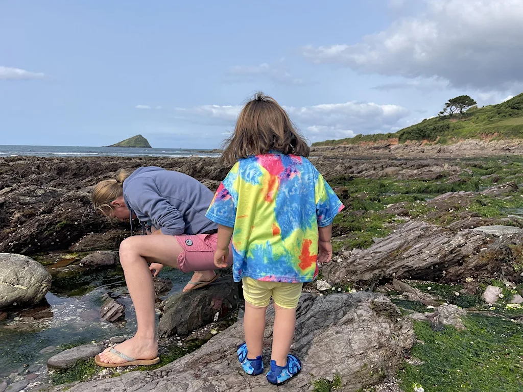 National Marine Week Tots & Toddlers Rockpool Safari at Wembury Marine Centre