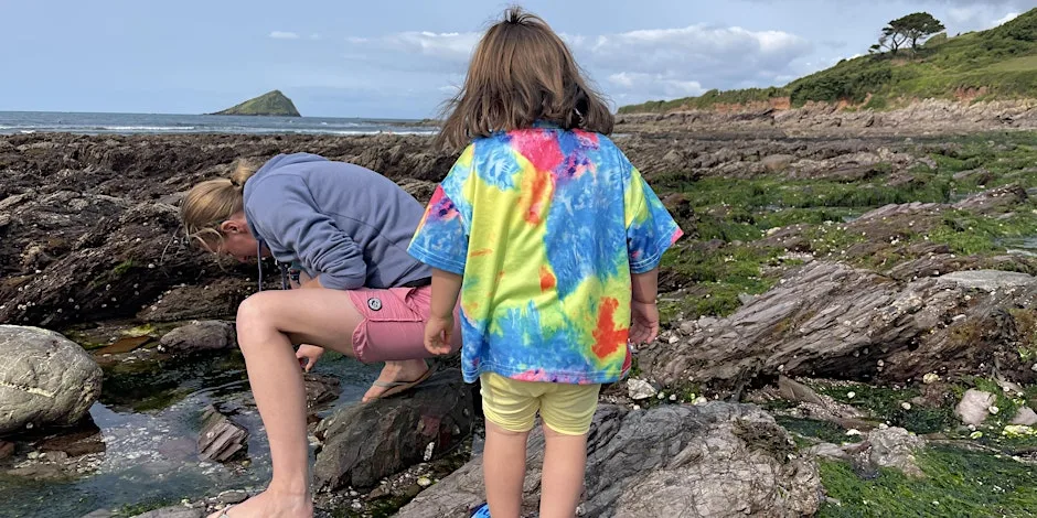 Tots & Toddlers Rockpool Safari at Wembury Marine Centre