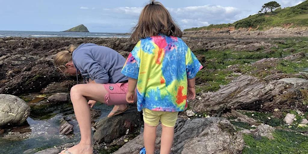 National Marine Week Tots & Toddlers Rockpool Safari at Wembury Marine Centre