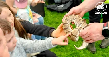 Event: Halloween Creepy Critters at Newhailes at Newhailes House & Garden