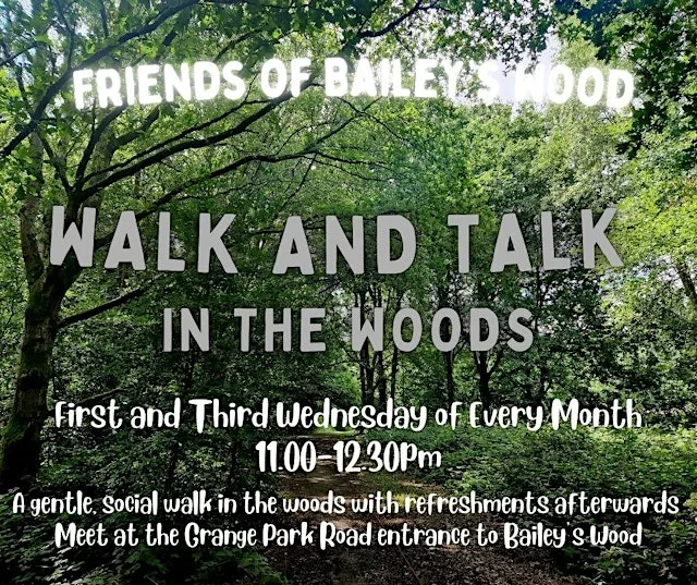 Walk and Talk in the Woods at Bailey's Wood
