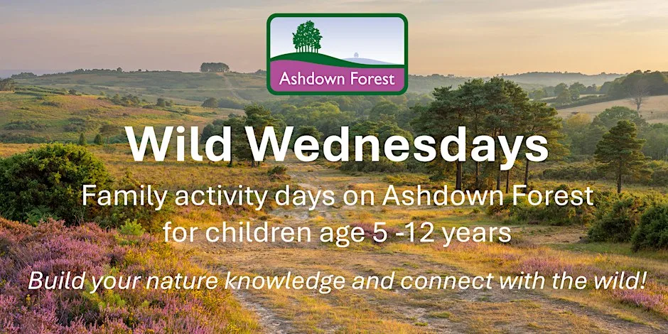 Wild Wednesdays at Ashdown Forest Centre