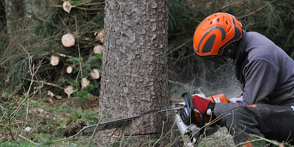 Emergency First Aid 1 day course including Forestry First Aid +F (RQF) at Alyn Waters Conference Room
