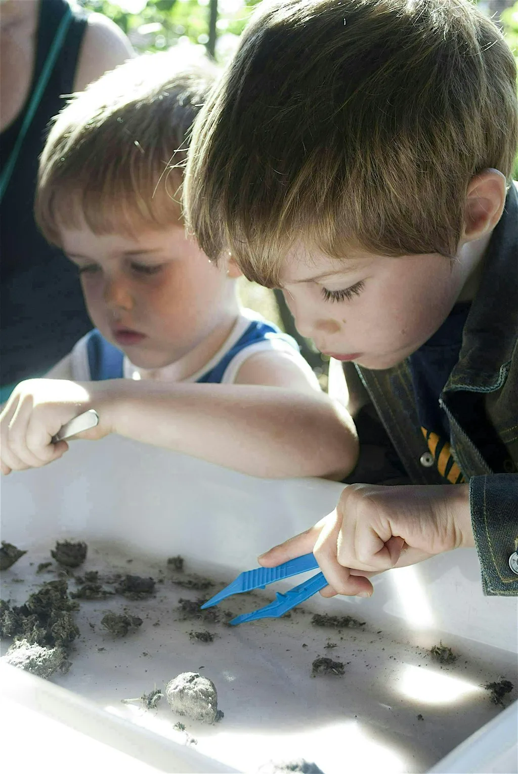 Bones and body bits (Family event) NWT Holme Dunes