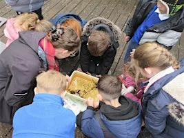 Pond dipping (Family event 18 August) NWT Ranworth Broad at Norfolk Wildlife Trust Ranworth Broad and Marshes