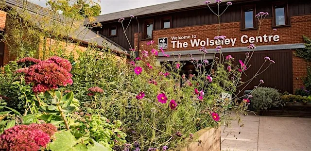 FLOWER CRAFT at The Wolseley Centre at The Wolseley Centre