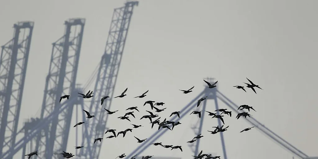 Wild Skills: Wildlife Photography at Trimley Marshes (ECC 2806)