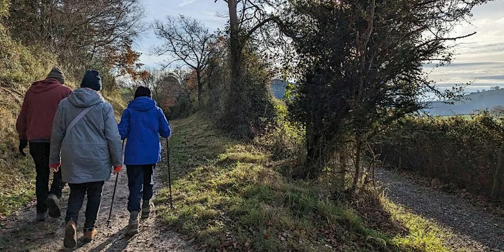 Guided Woodland Walk