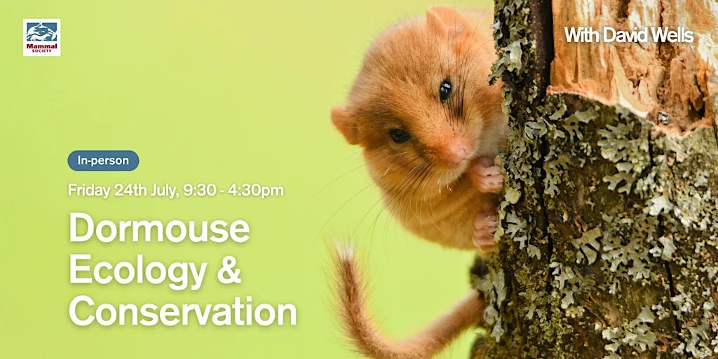 Dormouse Ecology & Conservation - In-person at Somerset Wildlife trust