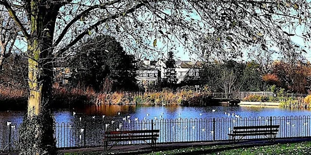Suicide Bereavement Service Walk and Talk in Brockwell Park at Brockwell Park