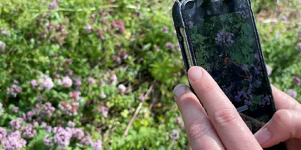 Smartphone Safari: How to take amazing nature photography with your phone