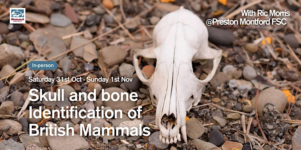 Skull and Bone Identification of British Mammals (2-day course) at Field Studies Council - Preston Montford
