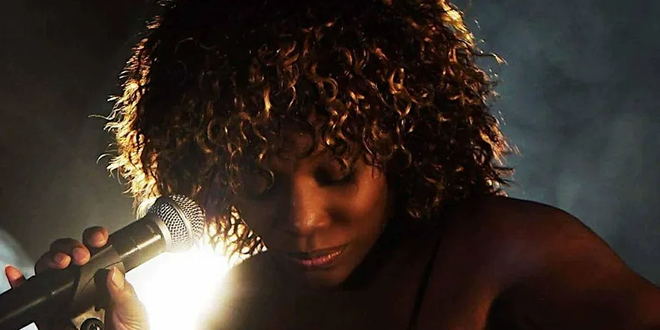 Tina Turner Tribute Night - Aldridge, Walsall at Aldridge Social Club