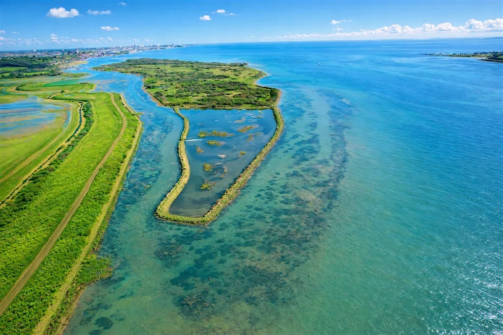 BEGINNERS HIKE 14km Fishing Towns & Nature Reserves of the Thames Estuary