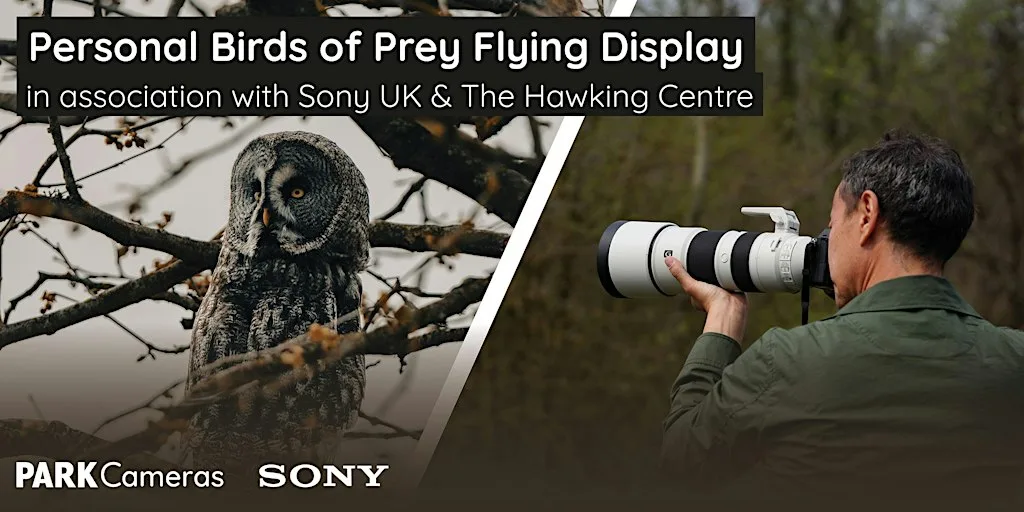 Personal Bird of Prey Flying Display at Park Cameras Wildlife Day