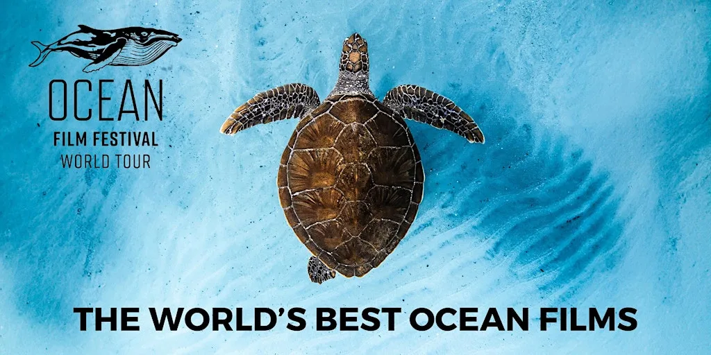 Ocean Film Festival - Whitley Bay - 25 September 2026 at Playhouse