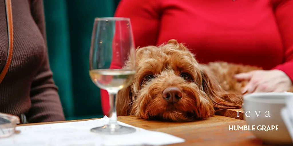 Paws & Pours: Wine Tasting Social For Dog Lovers at Humble Grape Islington