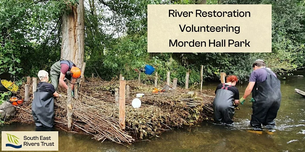 River Restoration Volunteering at Morden Hall Park - River Wandle at Morden Hall Playground