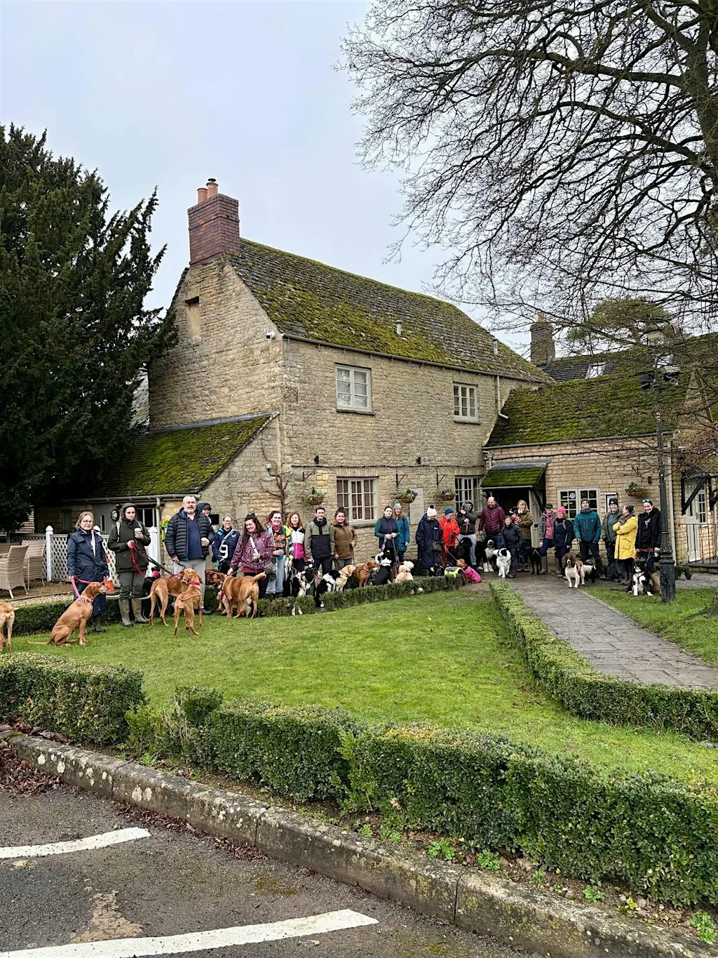 Tails on The Trails at The Red Lion Long Compton - Group Dog Walk