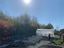 Bed & Breakfast Community Growing Club at R:evolve Recycle Community Hub
