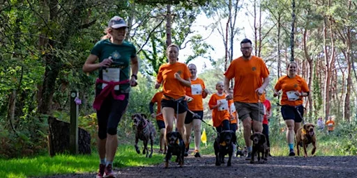 Lewis-Manning Hospice Care's Muddy Dog Dash - Avon Heath Country Park at Avon Heath Country Park