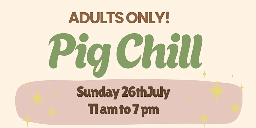 Pig Chill at Kew Little Pigs Farm