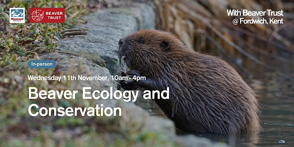 Beaver Ecology and Conservation (in-person) at School Lane