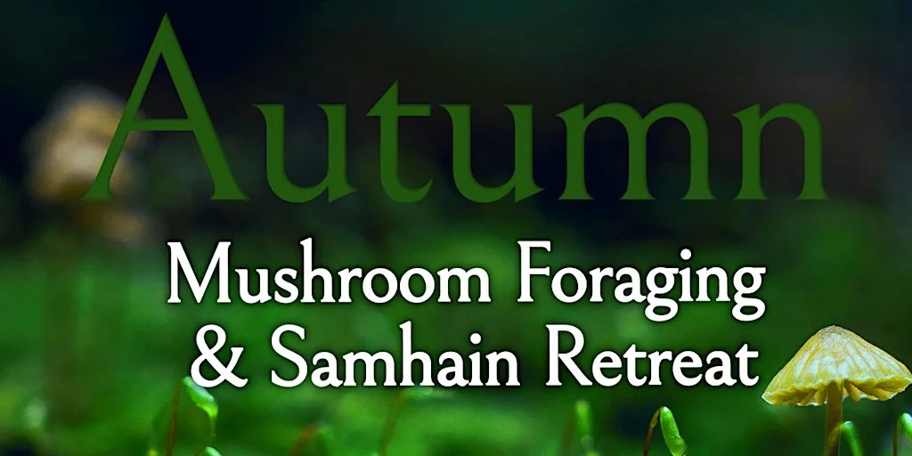 Autumnal Mushroom Foraging Samhain Retreat