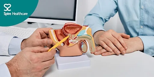 Free Event. Understanding prostate health and common urinary concerns