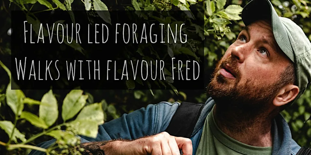 Flavour-Led Foraging Walk, Plants, Fungi, History & Folklore -FUNGI FOCUSED at The Grange Hampshire
