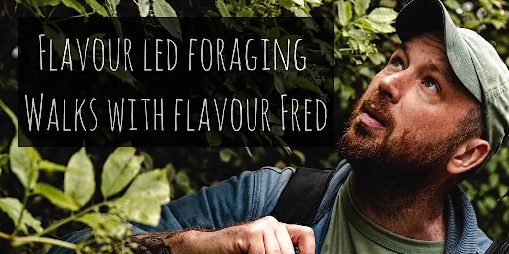 Flavour-Led Foraging Walk, History & Folklore - FUNGI FOCUSED at The Grange Hampshire